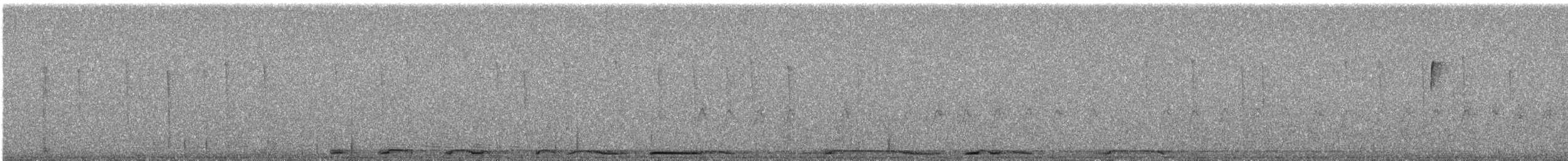 White-winged Dove - ML631149496