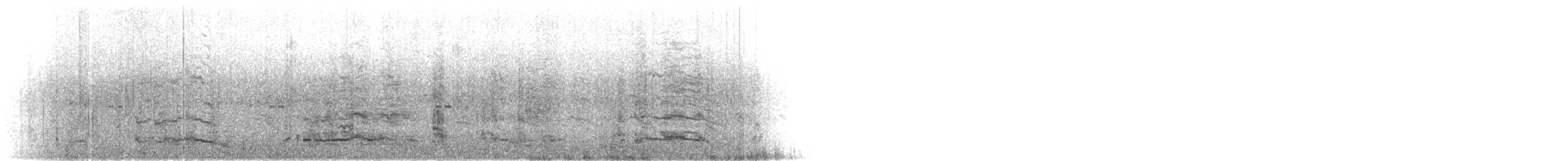 Snares Penguin - ML631150855