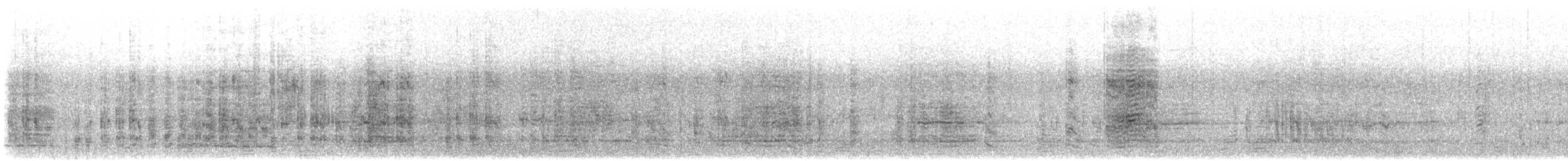 Snares Penguin - ML631150859