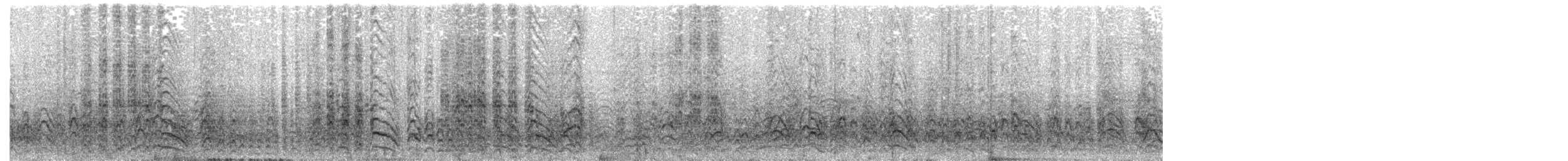 Weißstirnspint - ML63115361