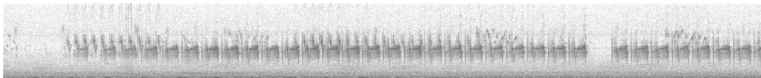 アジアマミハウチワドリ - ML631160937