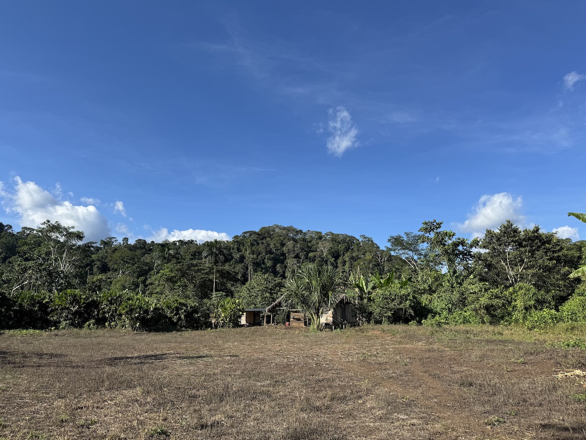null - ML631163705