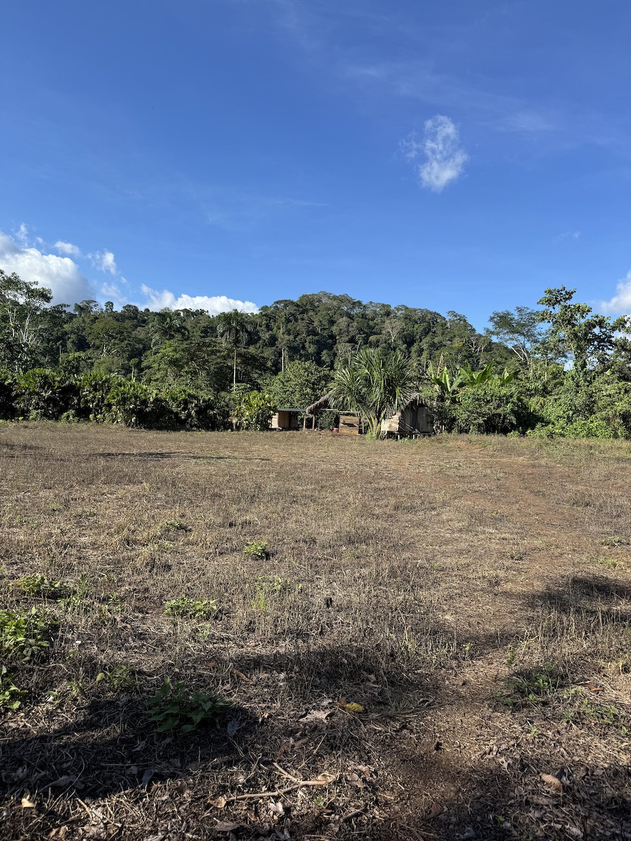 null - ML631163706