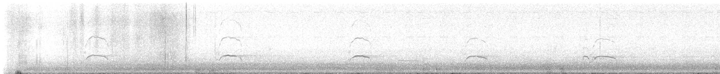 שלצדף אמריקני - ML631169587