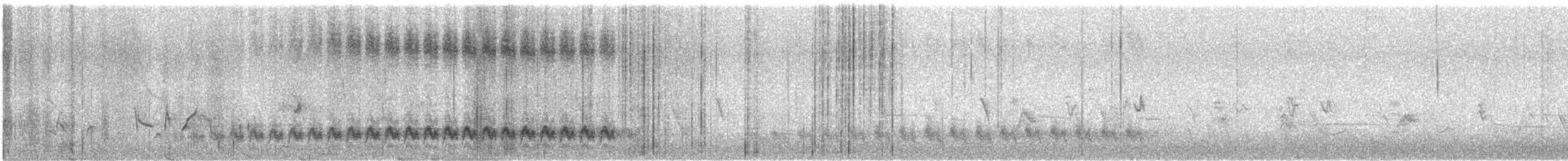 Cactus Wren - ML631169910