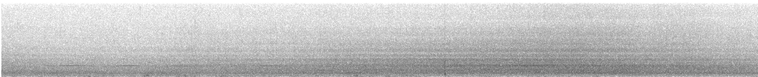 Black Scoter - ML631171541