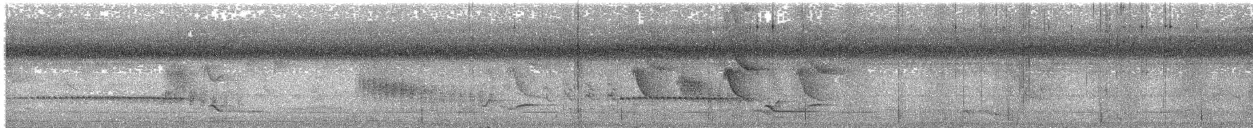 jora černokřídlá - ML631174588