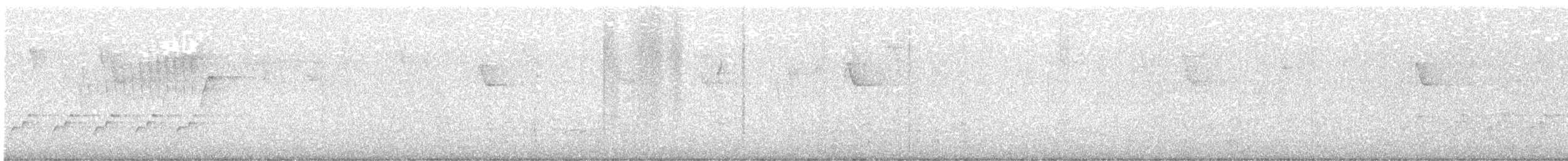Northern Parula - ML631174923