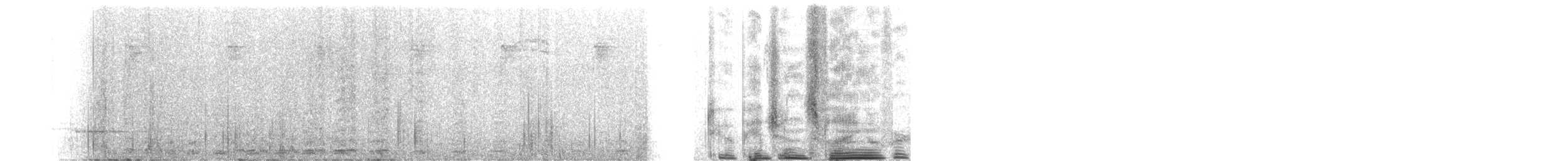 Carpophage de Nouvelle-Zélande - ML631175268