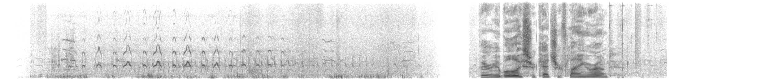 ústřičník proměnlivý - ML631175312