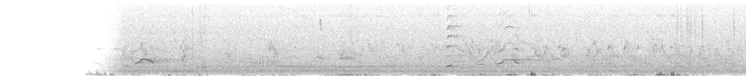 ústřičník proměnlivý - ML631175313