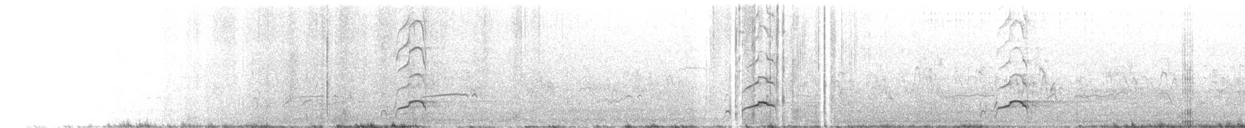 ústřičník proměnlivý - ML631175314