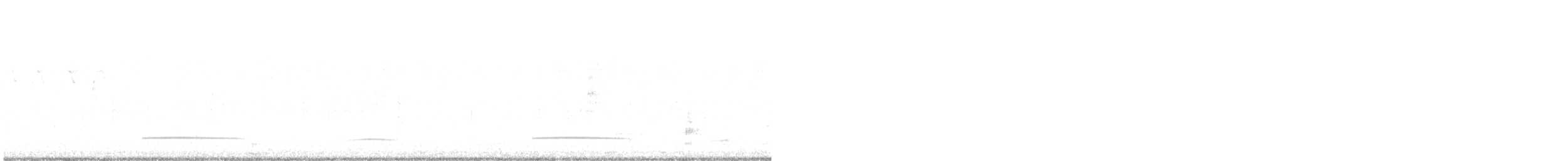 Black Scoter - ML631175764