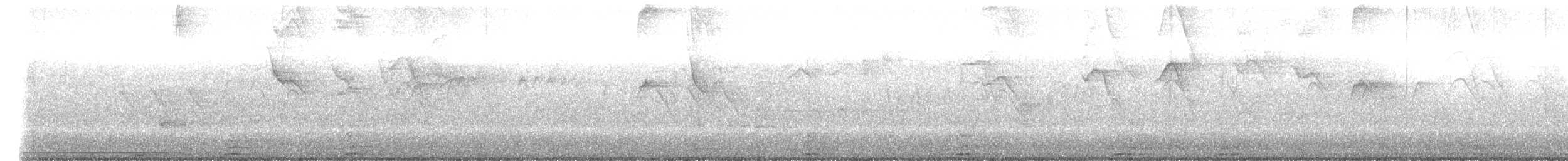 Bar-crested Antshrike - ML631182833