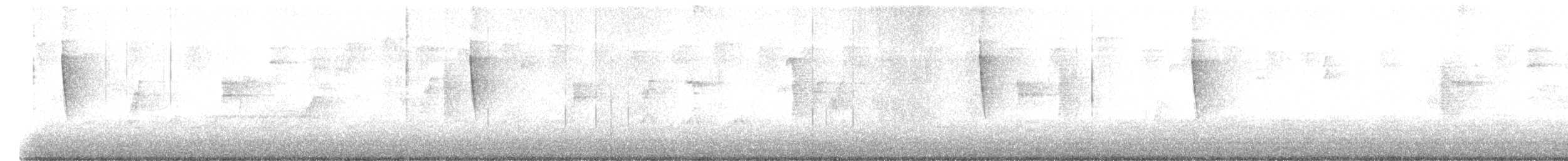 Bay-breasted Warbler - ML631183176