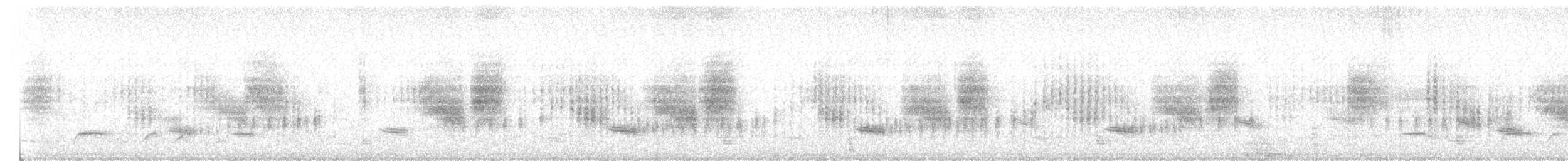 Apolinar's Wren - ML631184268