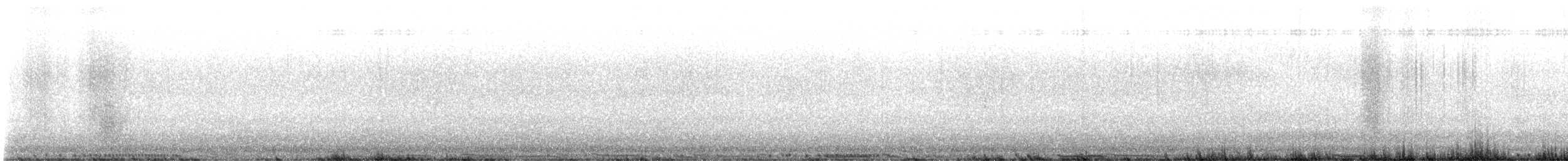Rock Pigeon (Feral Pigeon) - ML631185039