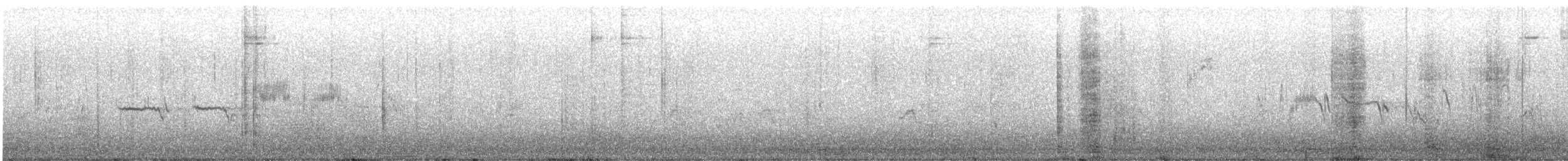 White-crowned Sparrow - ML631187779