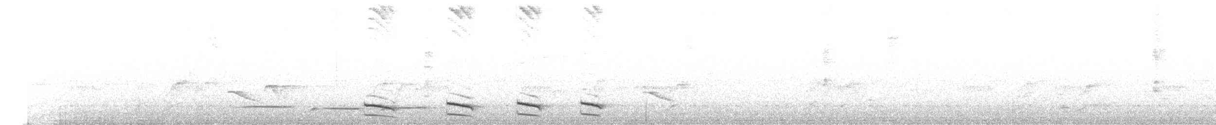 Uniform Antshrike - ML631188257