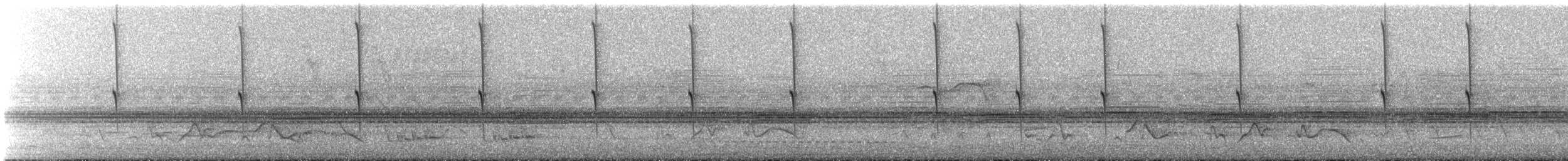 Plain-capped Starthroat - ML631189664