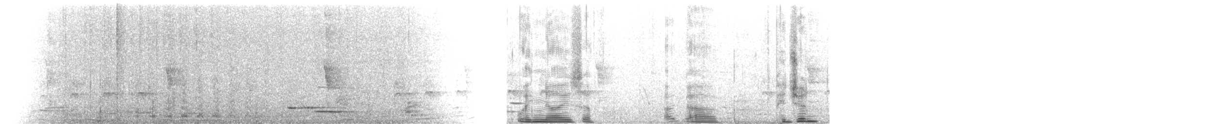 Carpophage de Nouvelle-Zélande - ML631195848