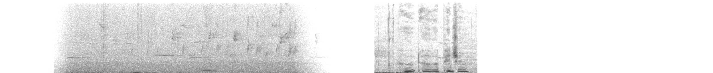 Carpophage de Nouvelle-Zélande - ML631195849