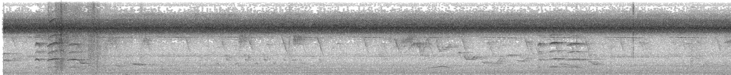 čejka černoprsá - ML631197795