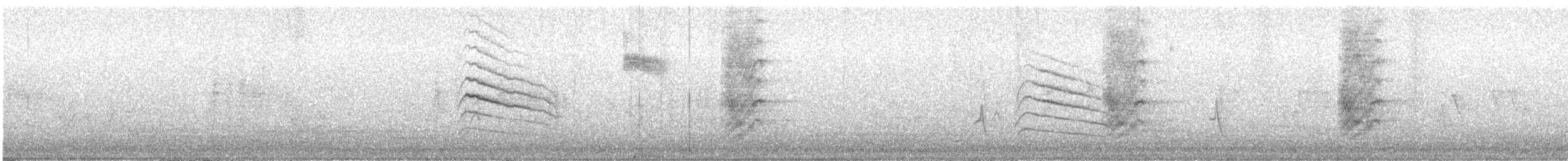 Gobemoucheron de Californie - ML63119861