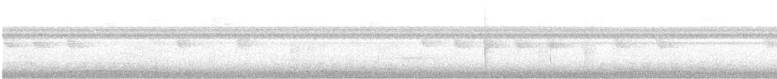 Lattice-tailed Trogon - ML631199338