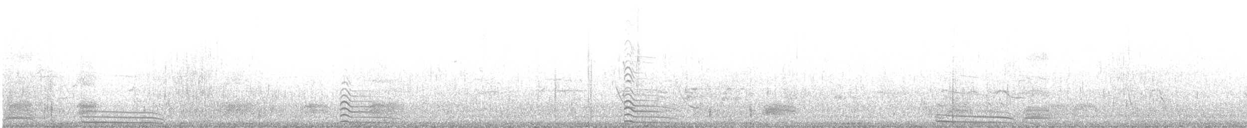 ススケカモメ - ML631207206