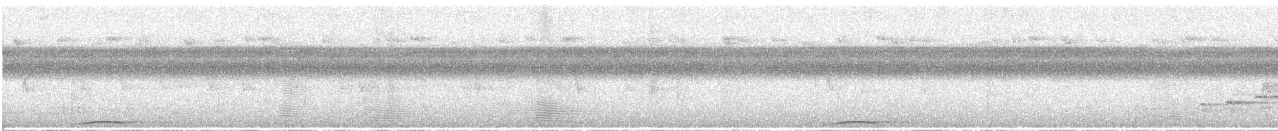 Philippine Cuckoo-Dove - ML631207895