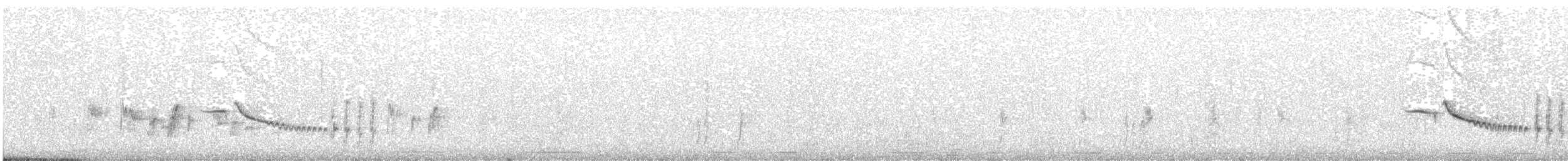 Black Scrub-Robin - ML631210703