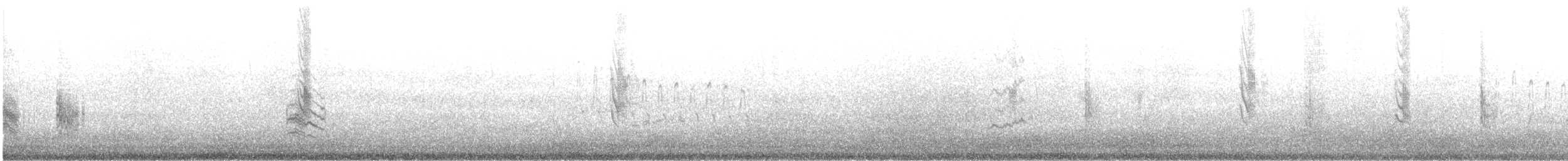 Pie-grièche isabelle (isabellinus) - ML631210935