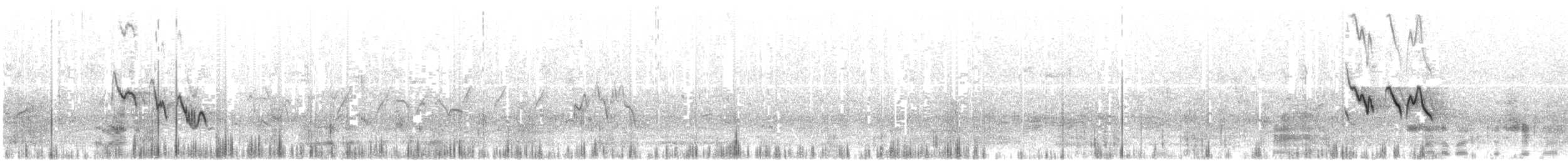 Cochevis de Malabar - ML631211829