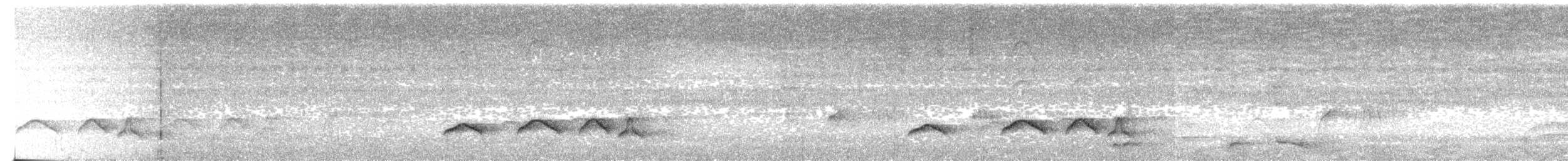 Atila Cabecigrís - ML631213773