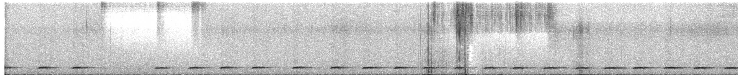 Unspotted Saw-whet Owl - ML631214160