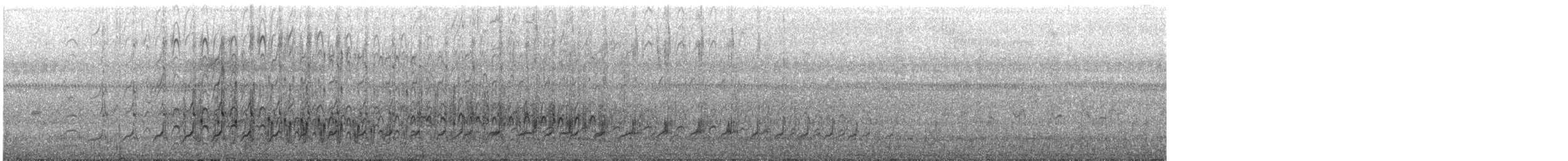 Pied Plover - ML631227651