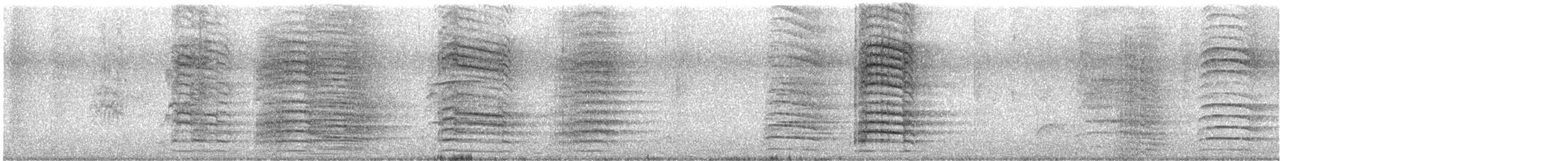 Red-tailed Black-Cockatoo - ML631235304