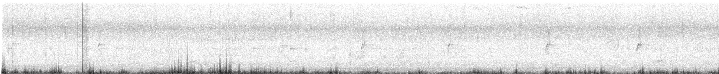 Black-fronted Dotterel - ML631237032