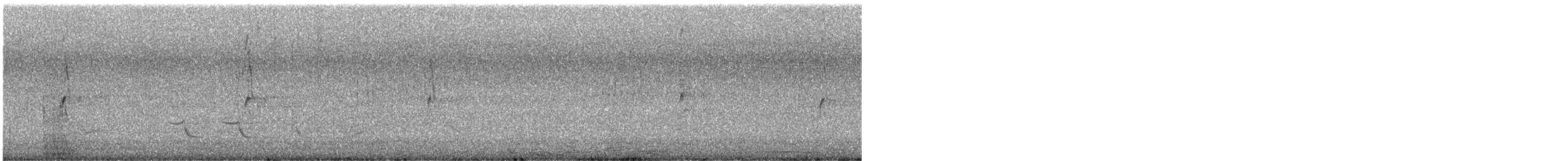 Black-fronted Dotterel - ML631237132