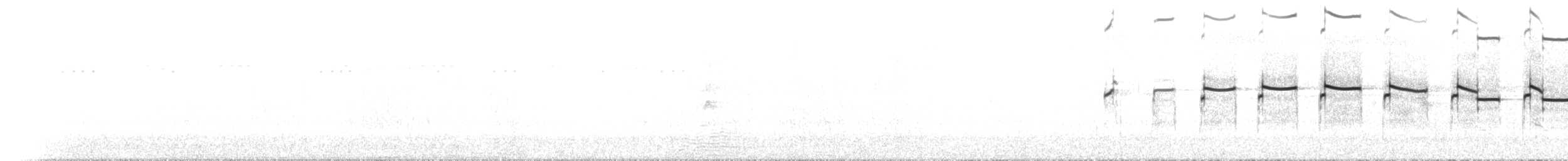 Beach Thick-knee - ML631237163
