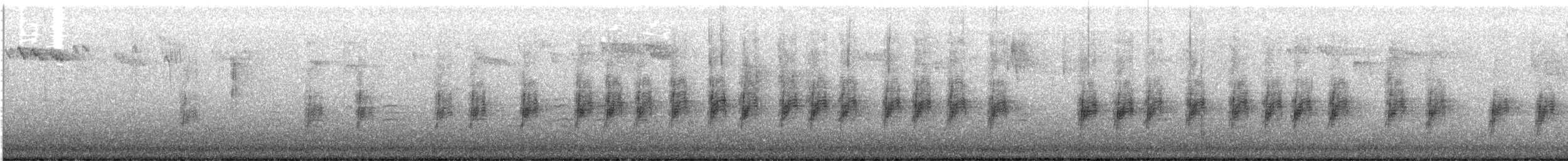 Bewick's Wren - ML631238687