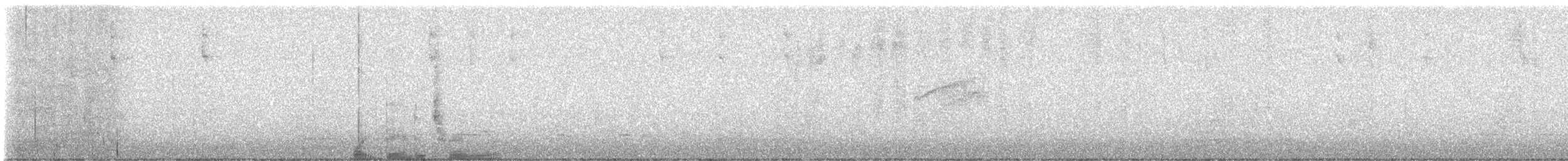 Tyranneau à sourcils blancs - ML631239186