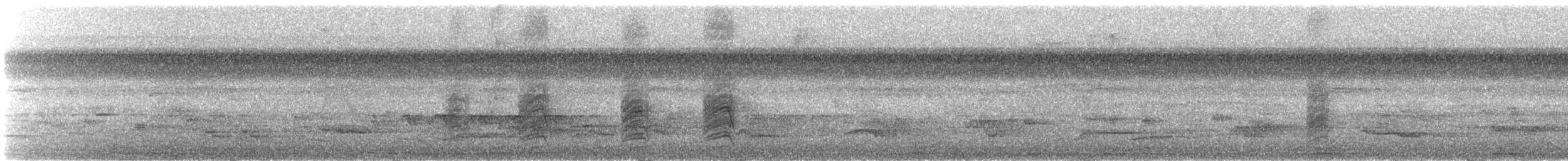 Schwarzkopftrupial (dickeyae/nayaritensis) - ML631239601