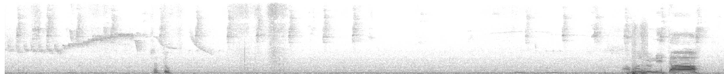 Grünband-Sonnennymphe - ML631241342