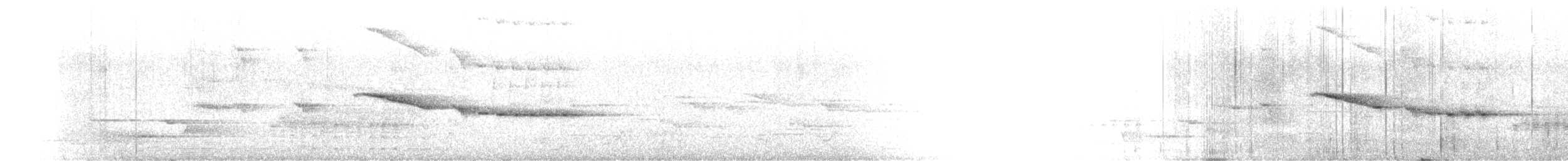 Pipipi - ML631241801
