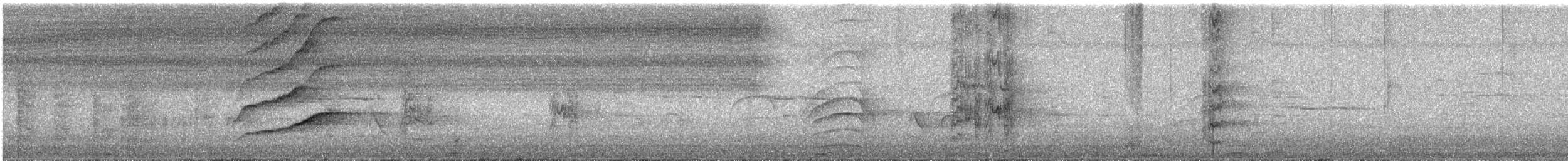 storstjerttrupial - ML631241942