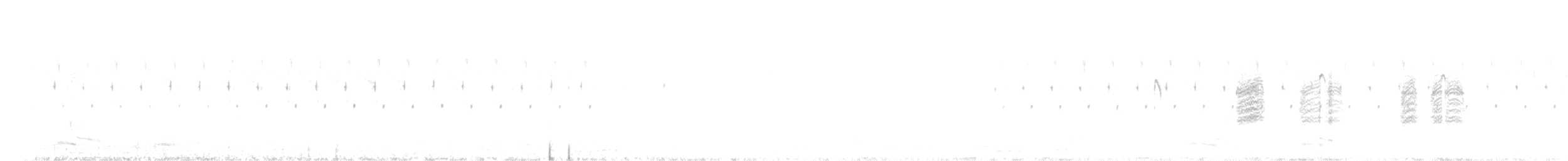 halsbåndfrankolin - ML631243243