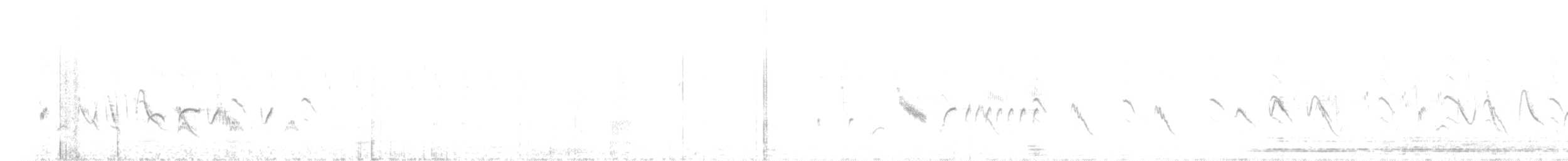 halsbåndfrankolin - ML631243370