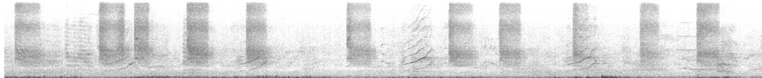 Apôtre gris - ML631243892